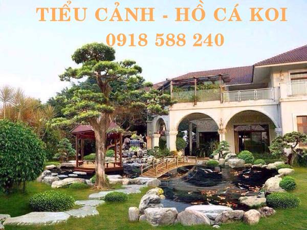 Thiết kế thi c&ocirc;ng hồ c&aacute; Koi tại Hưng H&agrave;