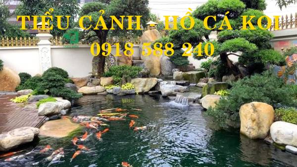 Thiết kế thi c&ocirc;ng hồ c&aacute; Koi tại Hưng H&agrave;
